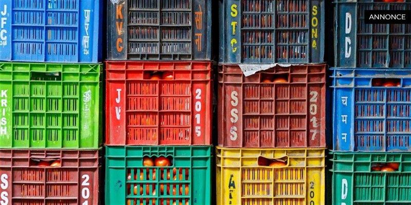 Hundburar: En komplett guide för hundägare